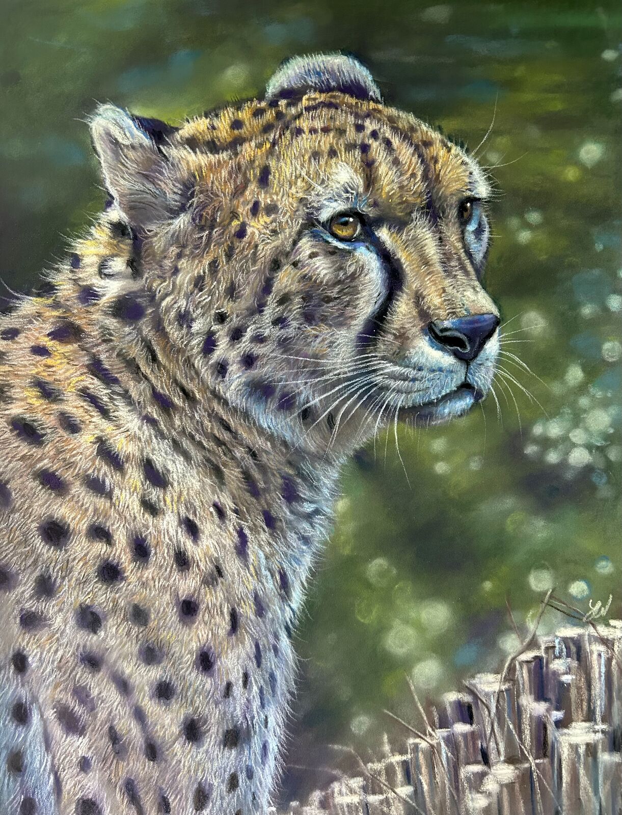 Watchful