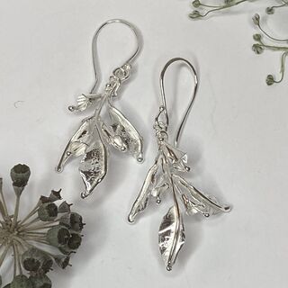 Enchanted Woodland
