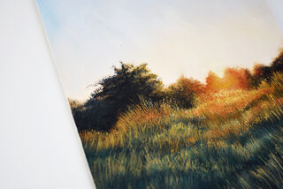Landscapes