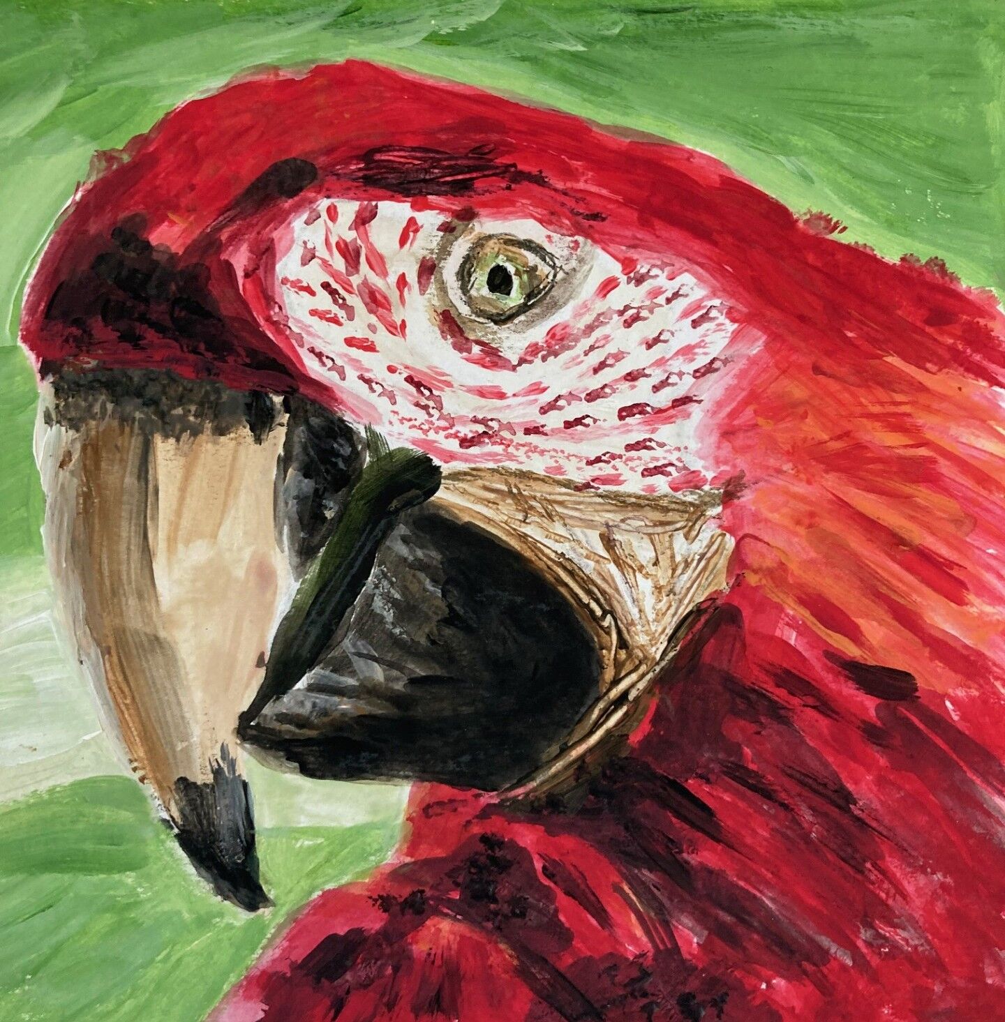 Cheeky parrot