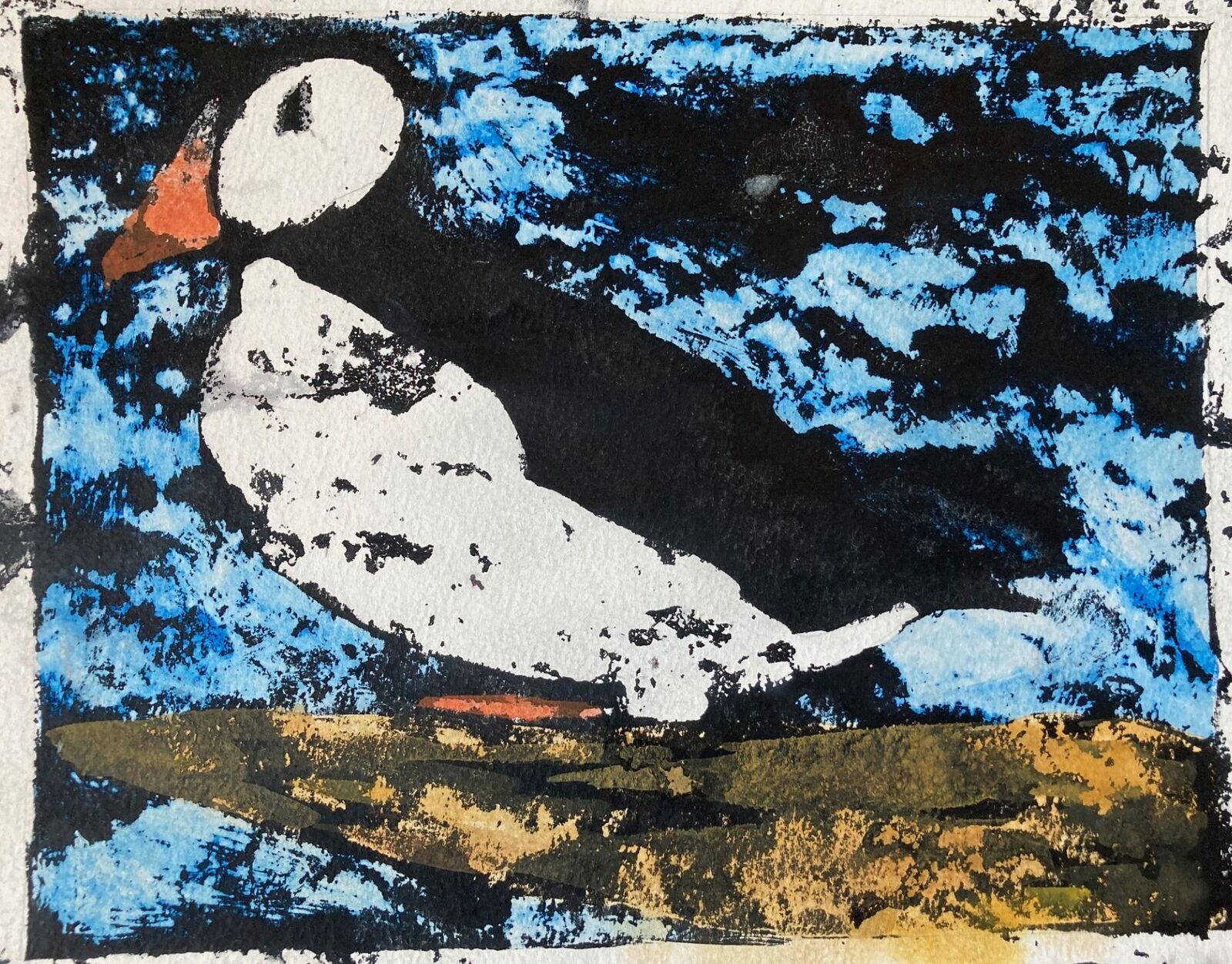 Puffin