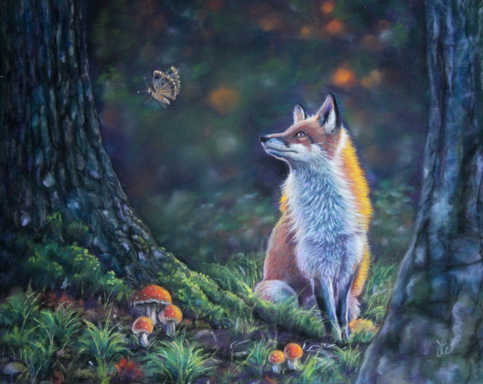 Woodland Watcher