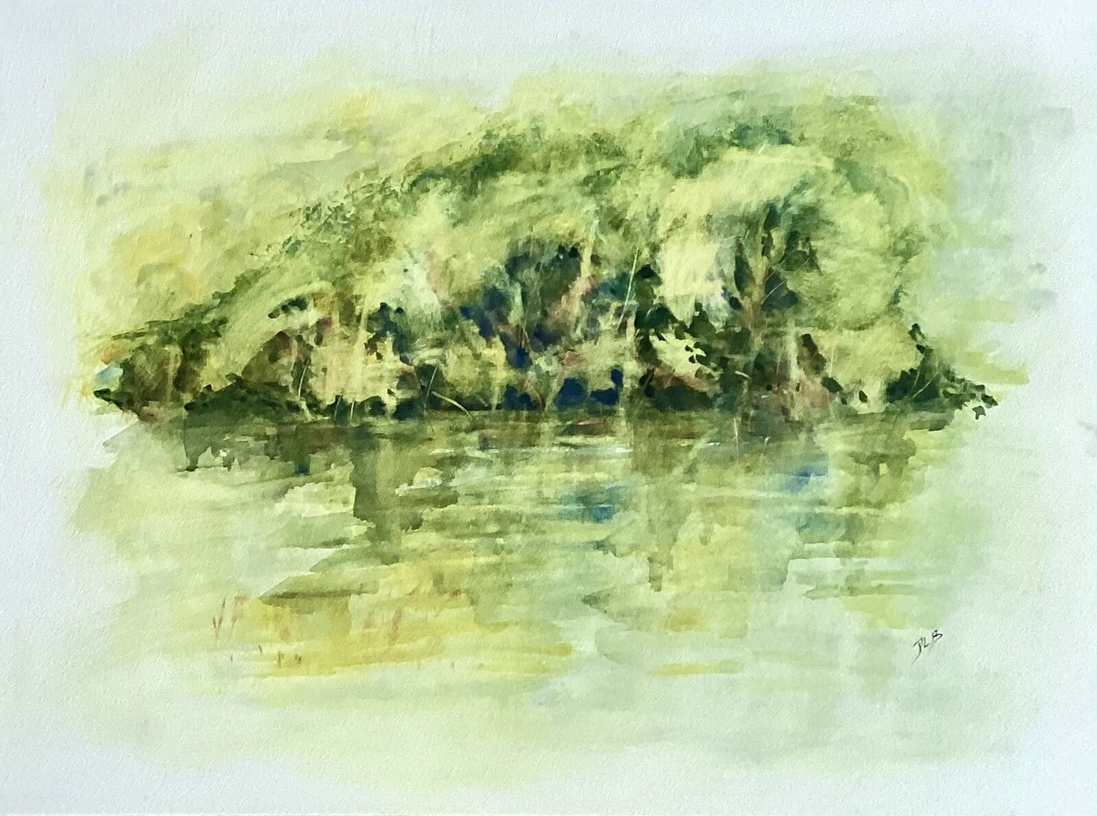 The river bank