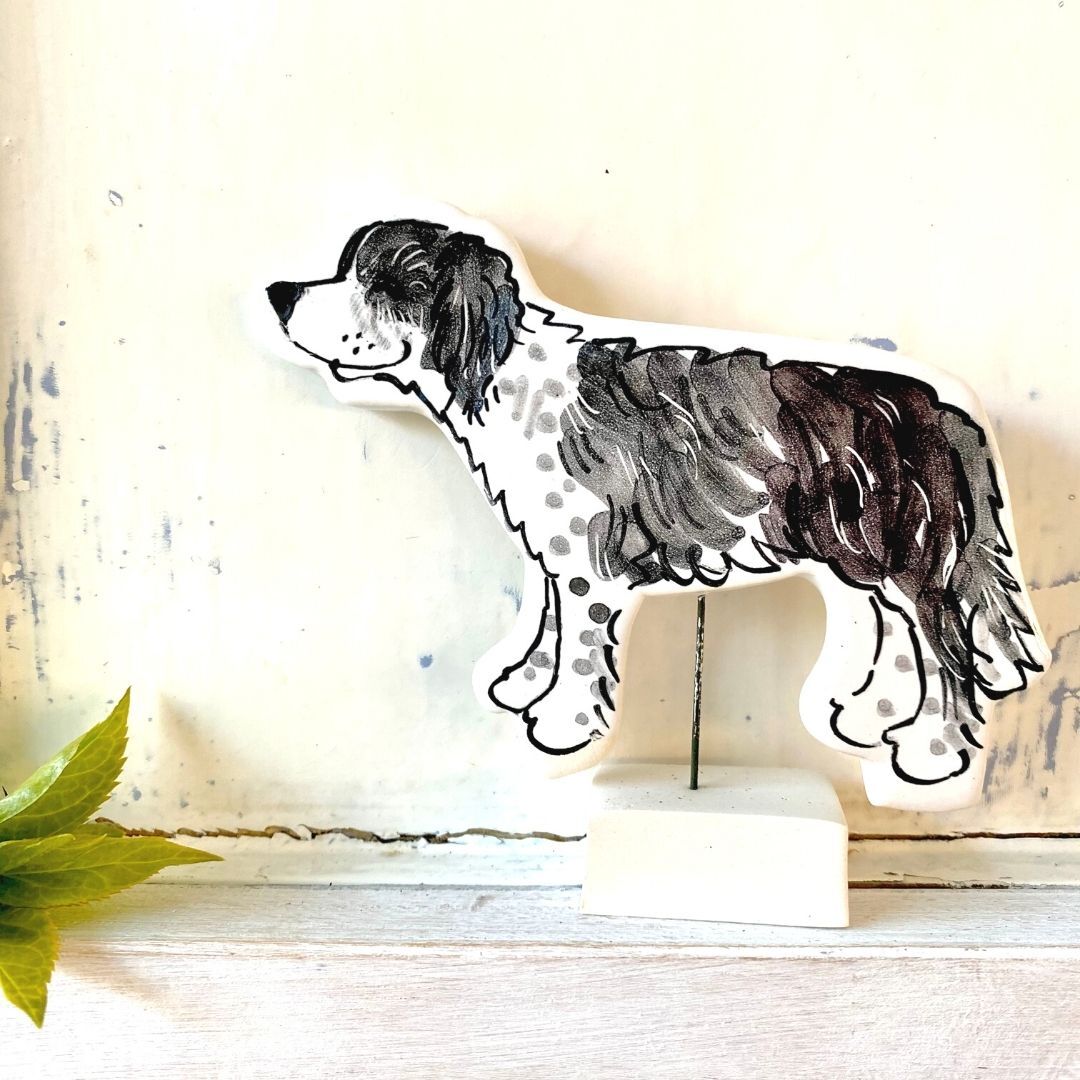 Pet portrait