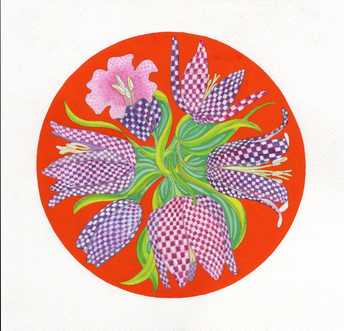 FRITILLARIA
