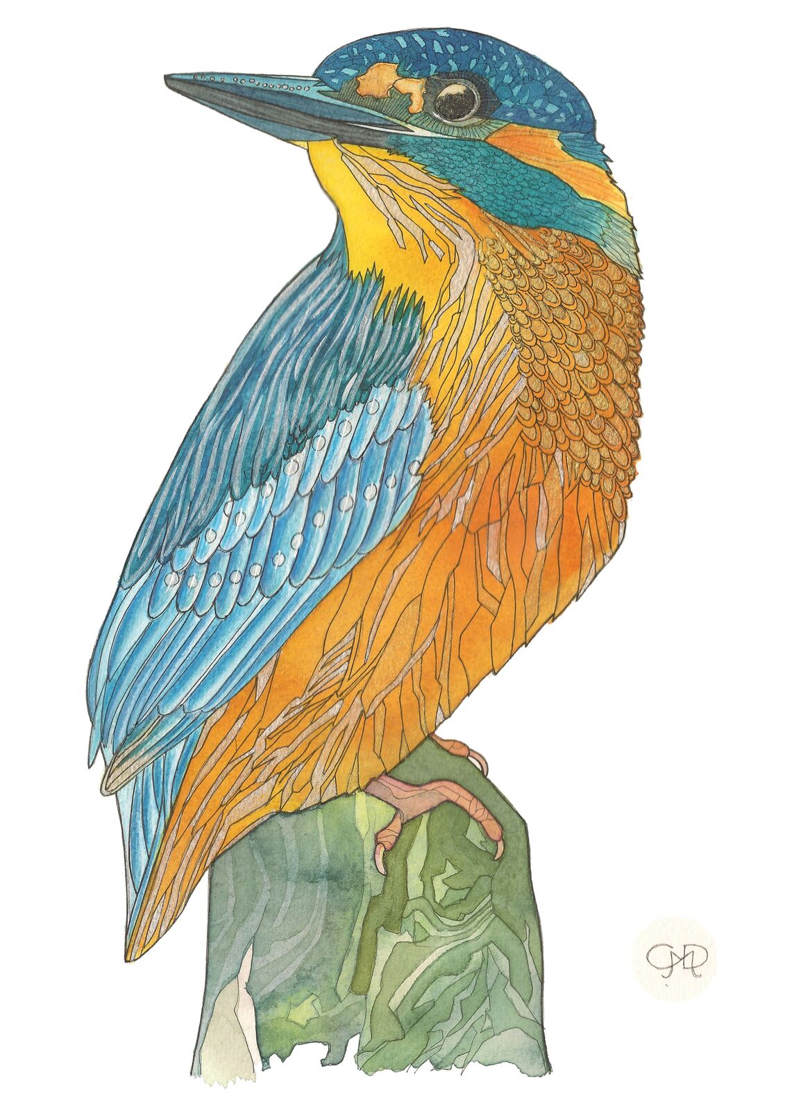 KINGFISHER