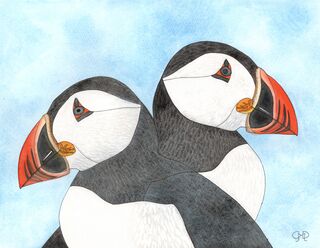 BIRDS