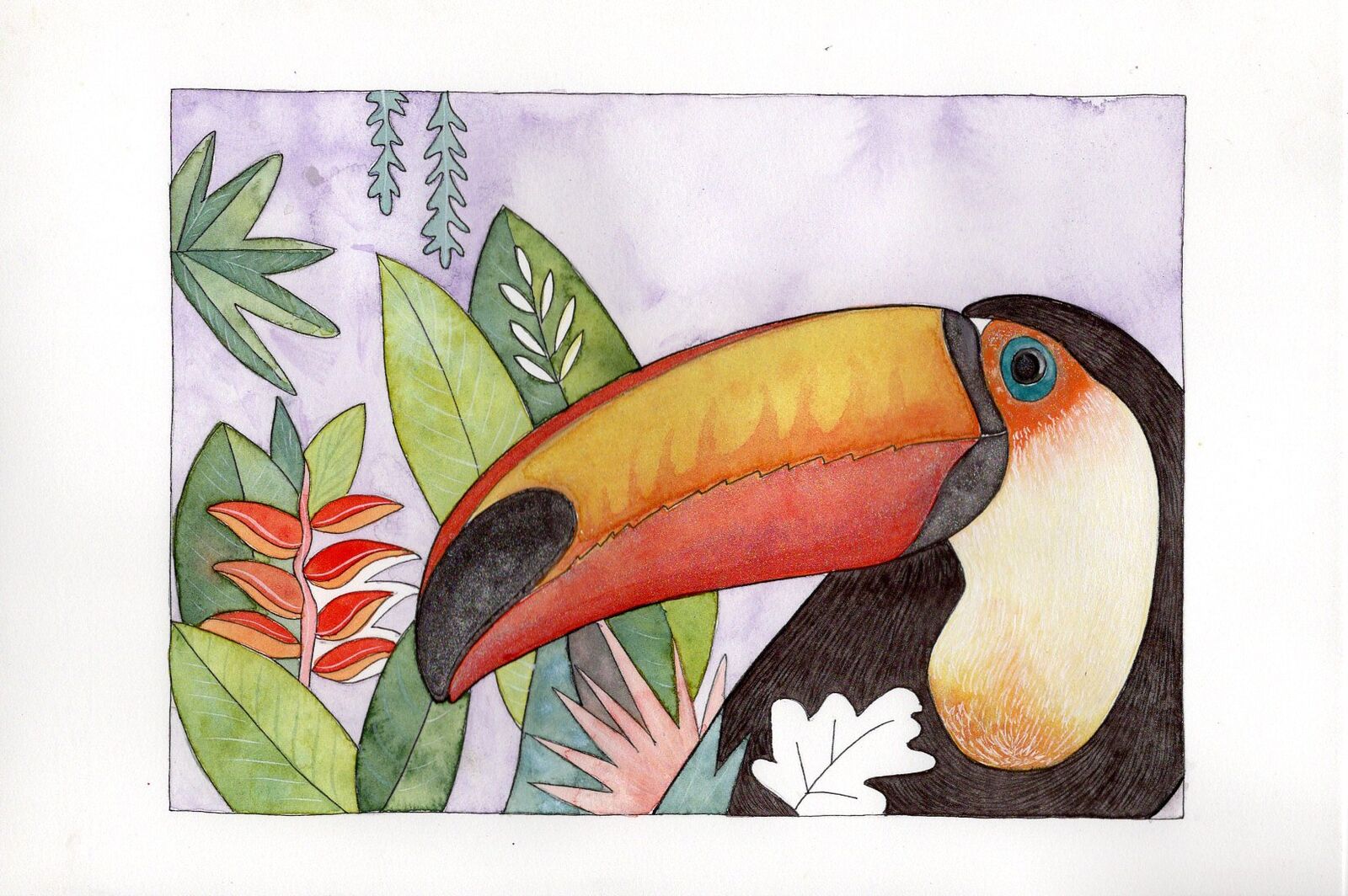 TOUCAN