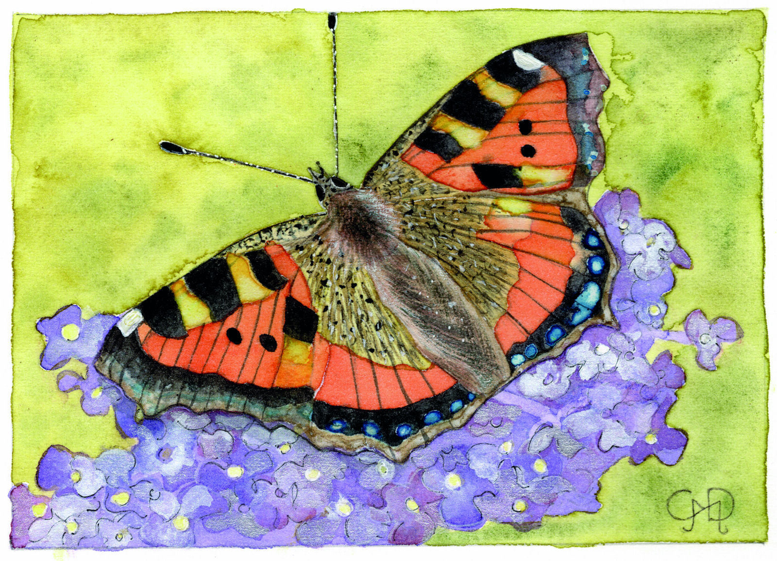 BUTTERFLY