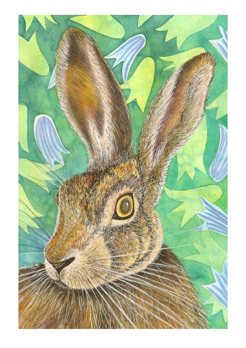 HARE AND BLUEBELLS