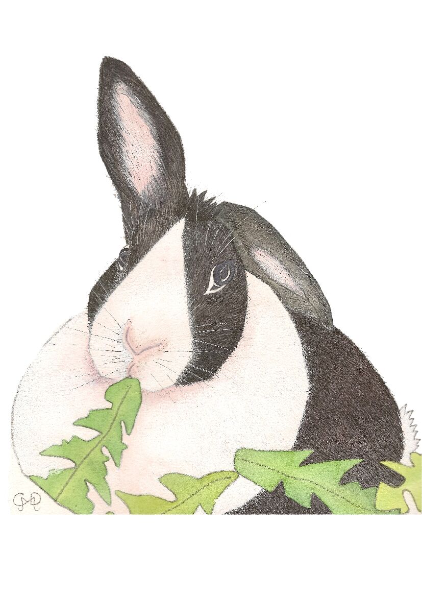 NEBBY RABBIT