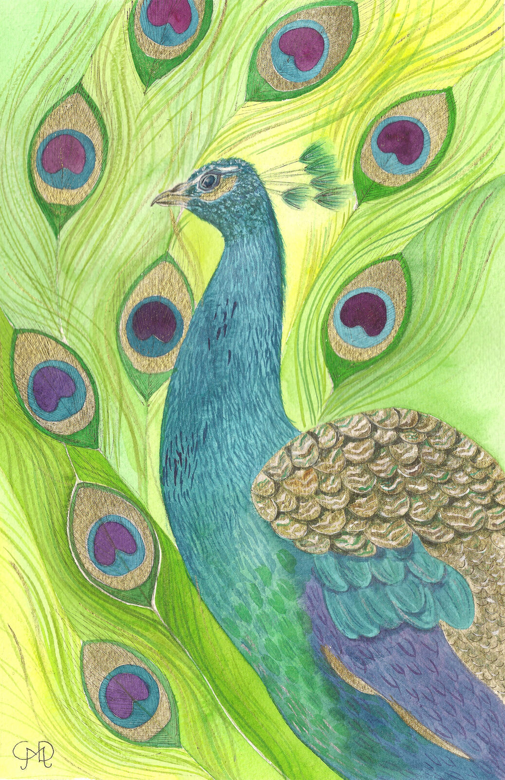 PEACOCK