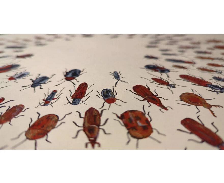 Beetle Sunburst - view 1
