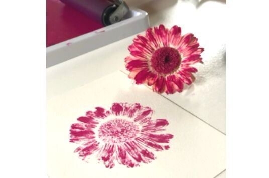 Botanical Monoprinting Workshop