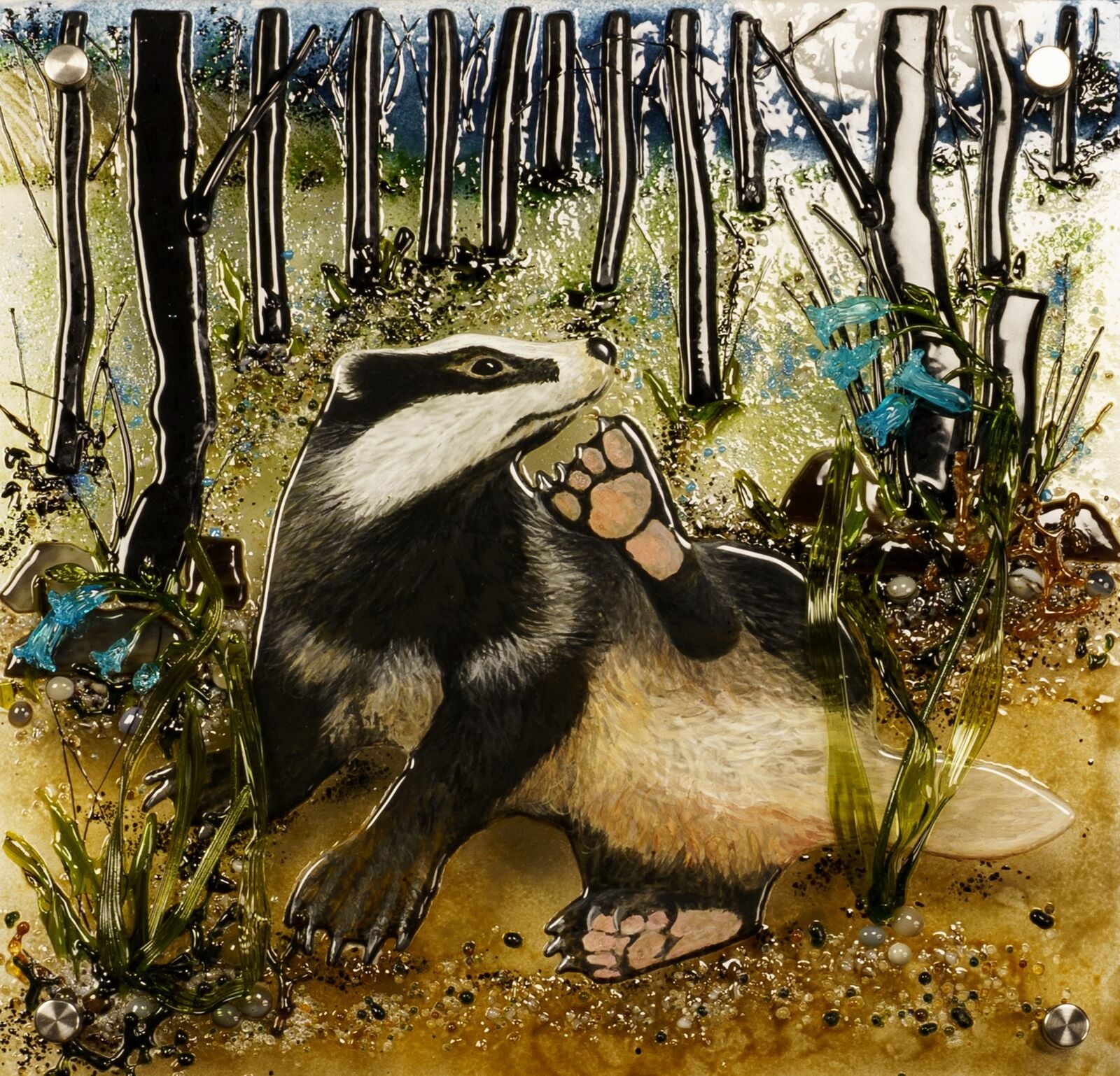 Badger in Bluebells