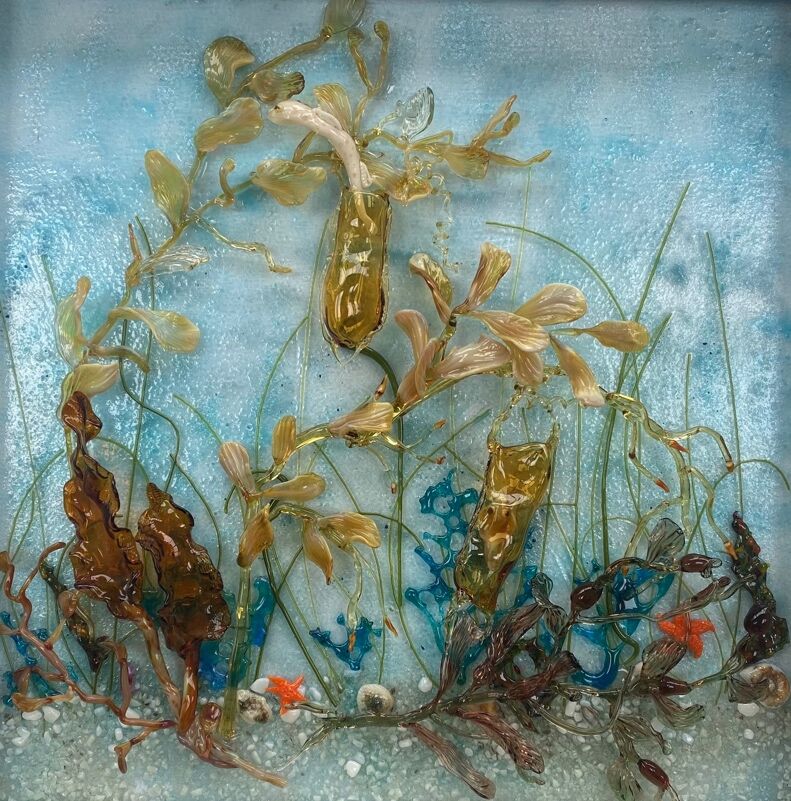 Mermaids purses hatching