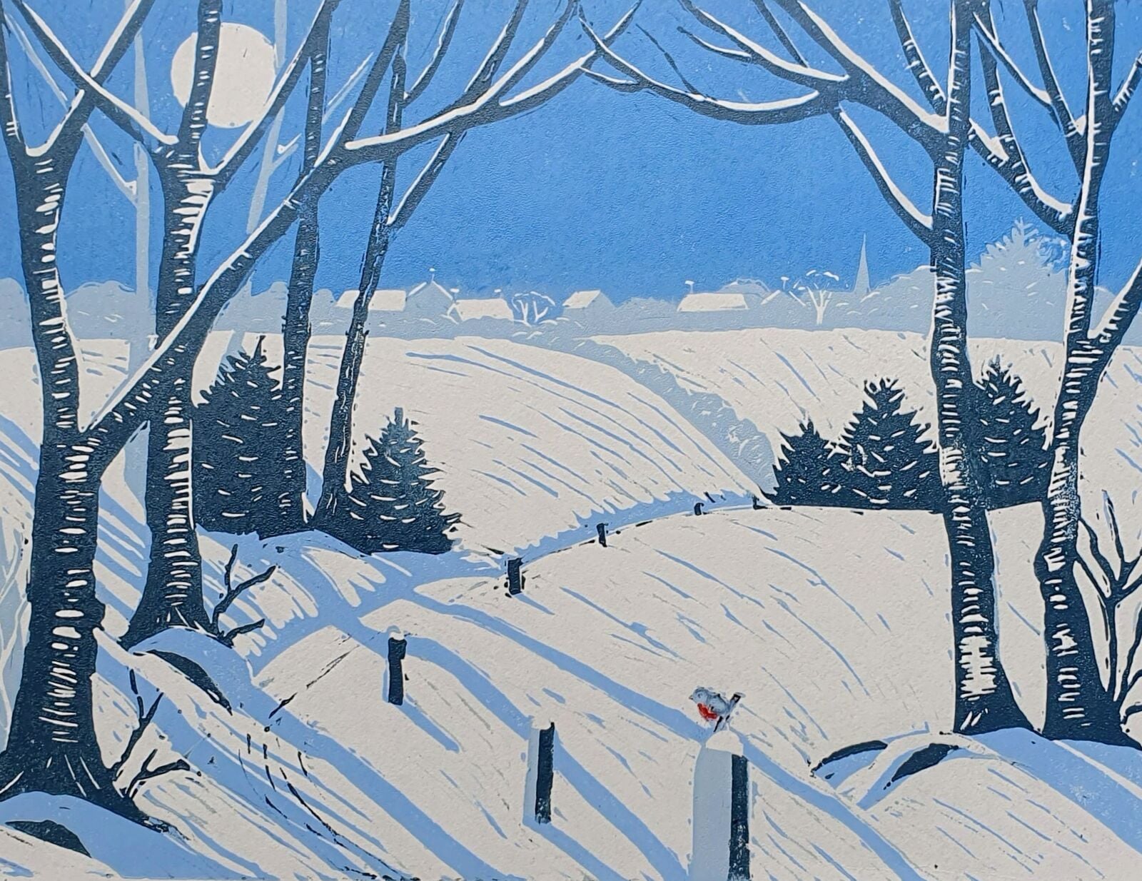 Winter Shadows 