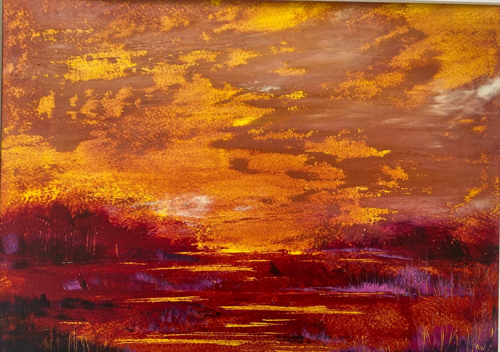 Evening Glory