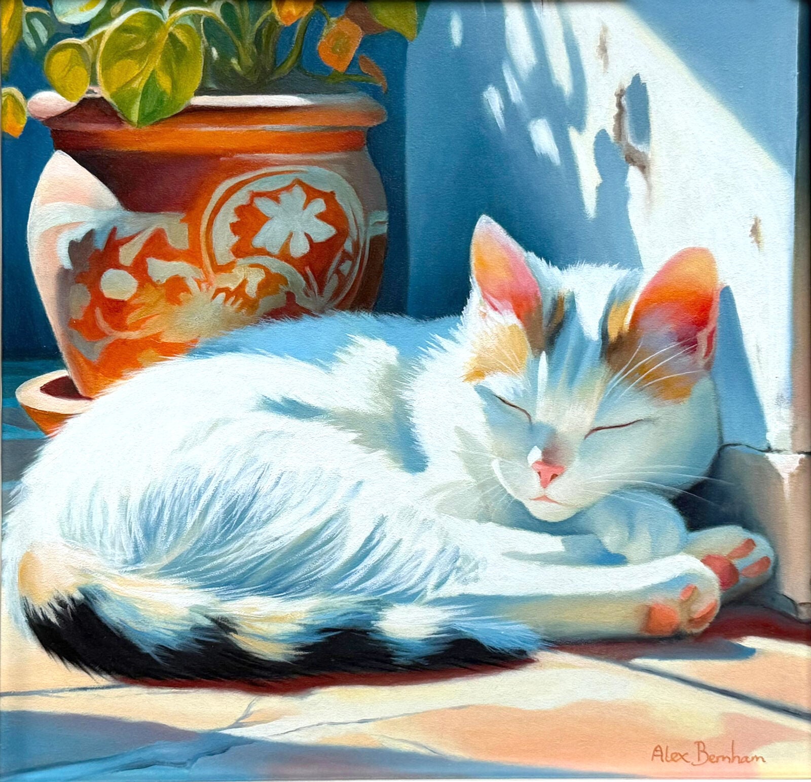 The Sunny Spot