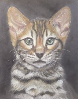 Anticipation by Rita O'Brien