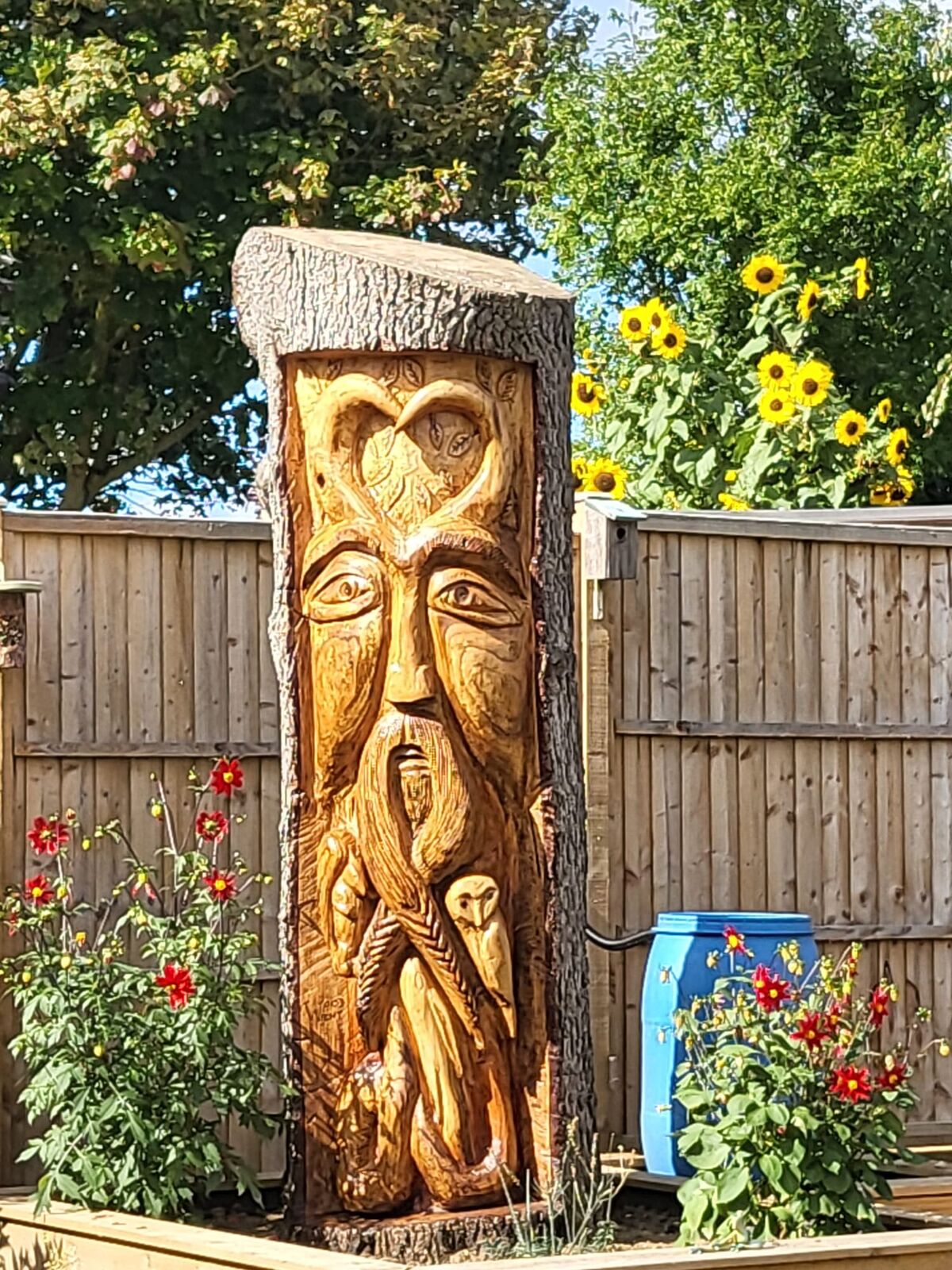 Cedar 16