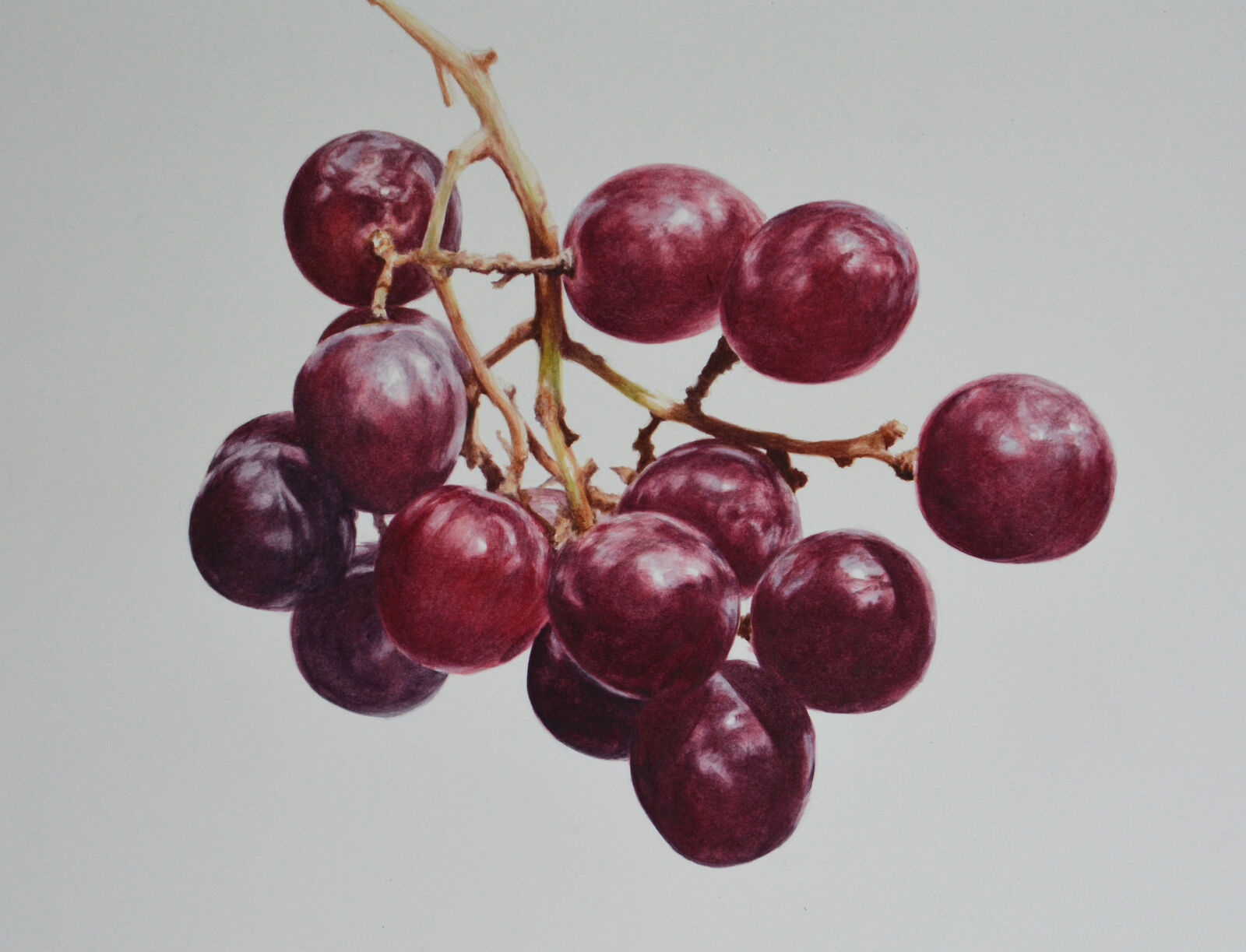 Red Grapes
