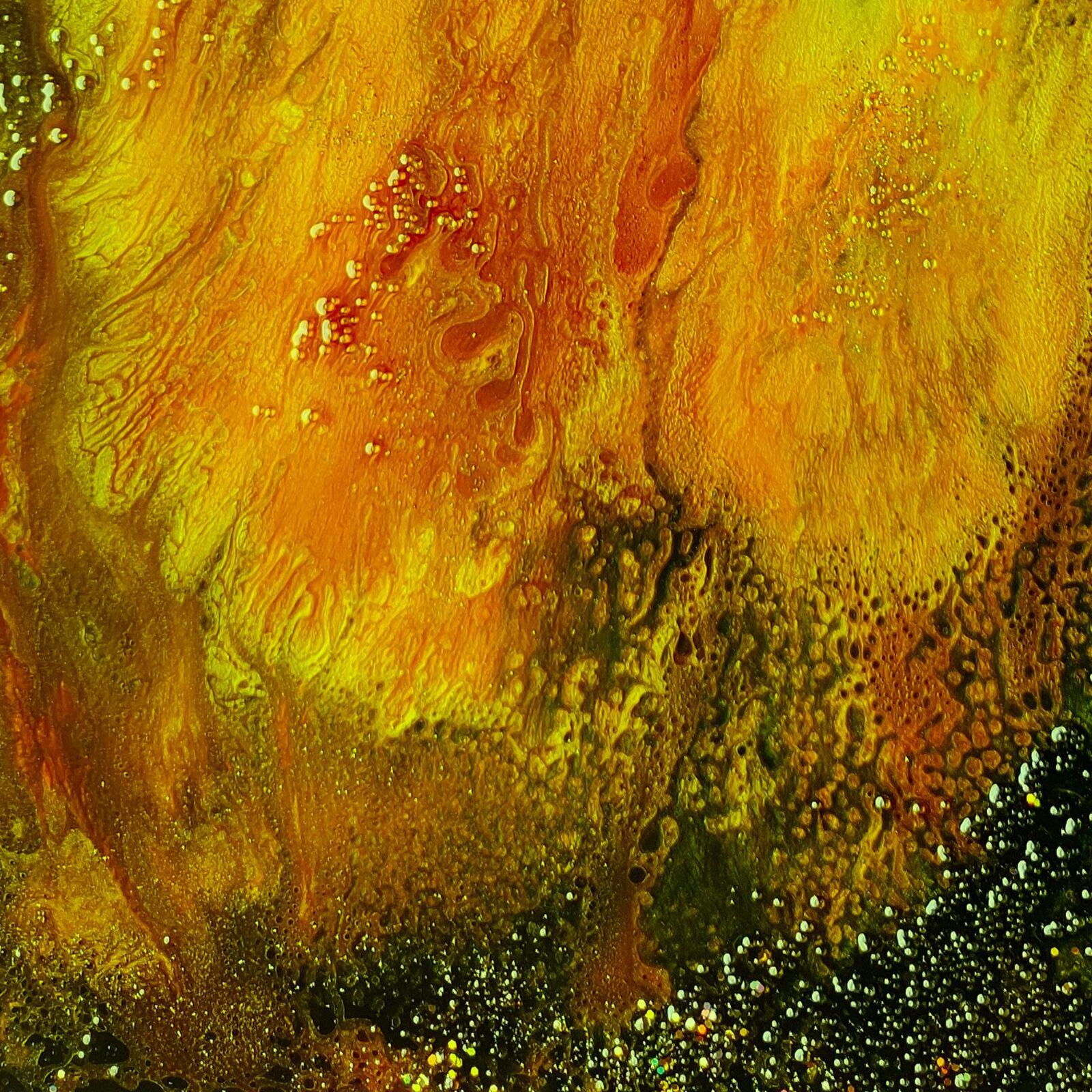 Narcissus