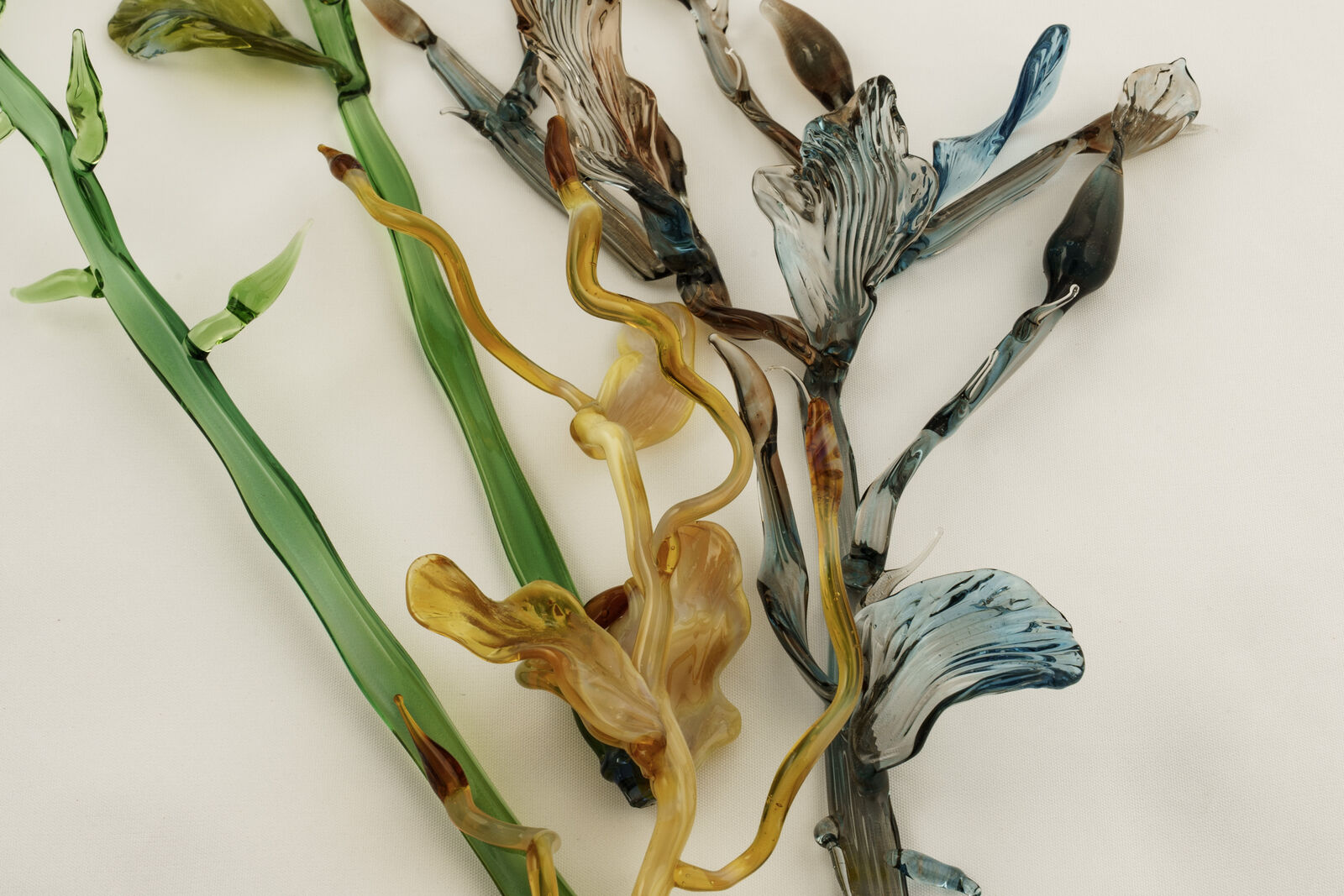 Seaweed in glass made on the torch