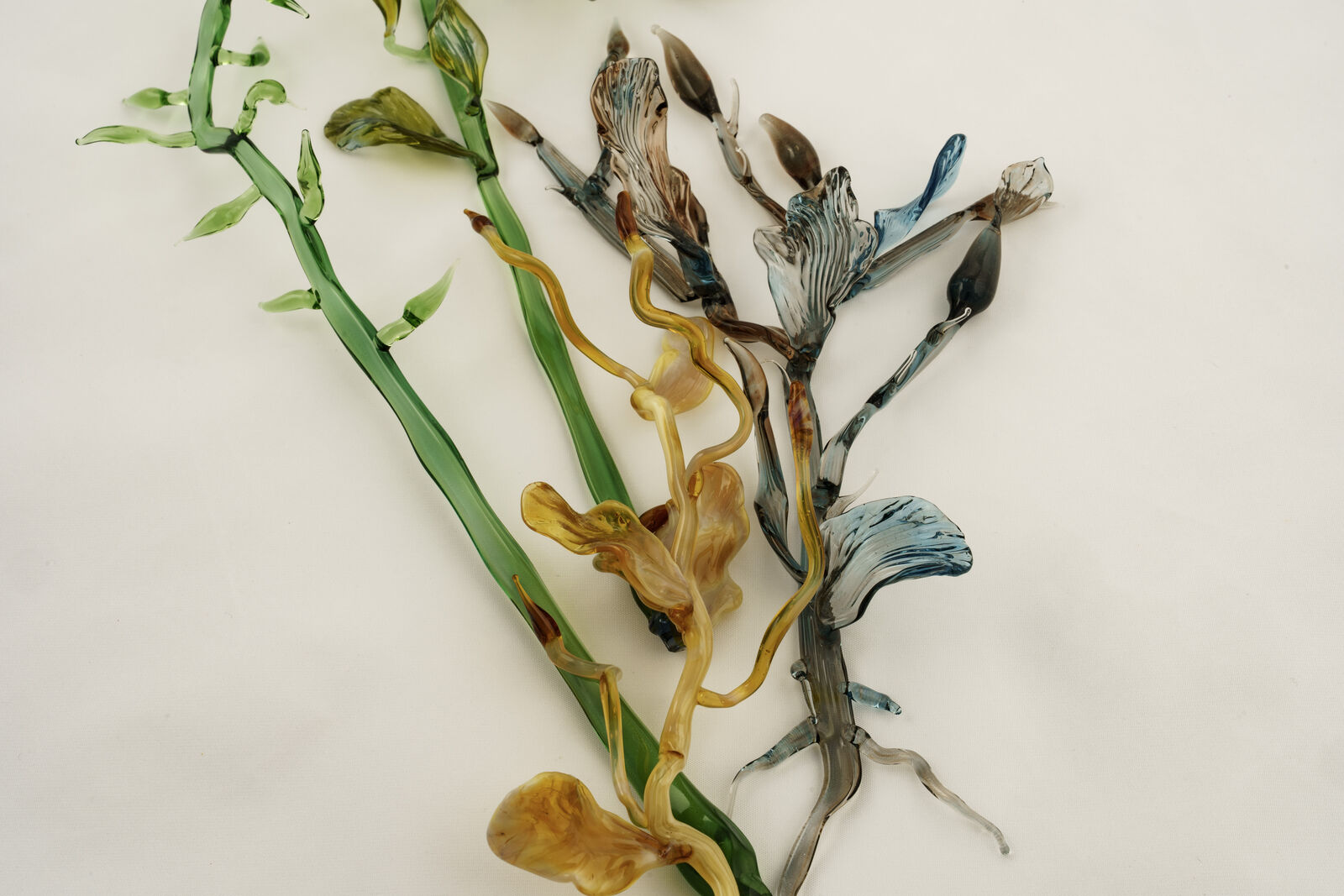 Seaweed in glass made on the torch
