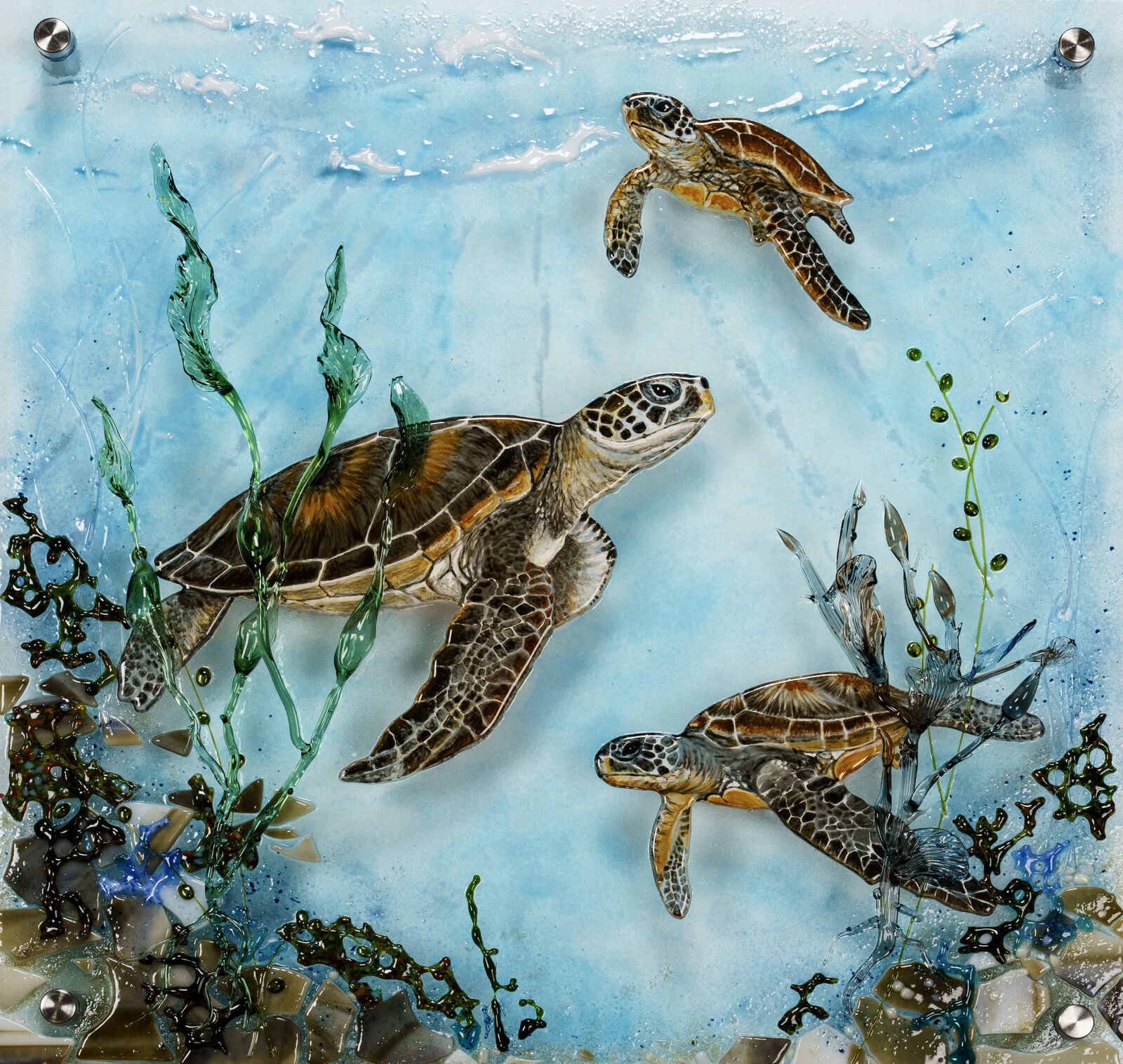 Turtles in Seaweed