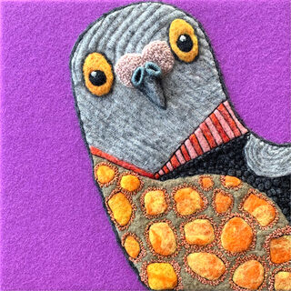 Peeking Pigeon