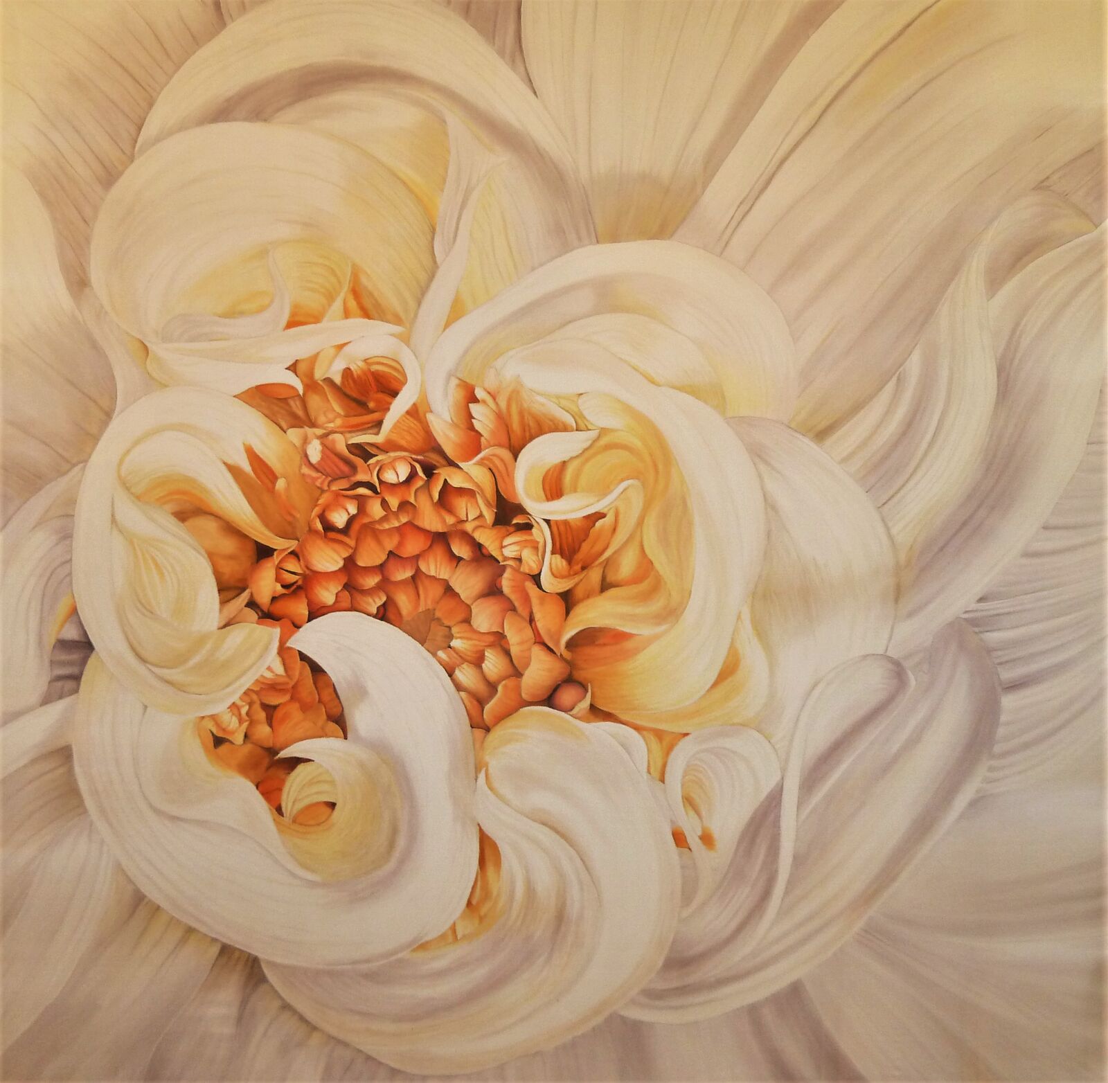 White Dahlia