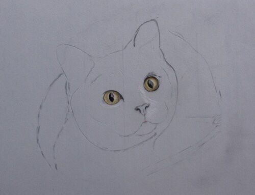 1 WIP Outline of Amber in a bag