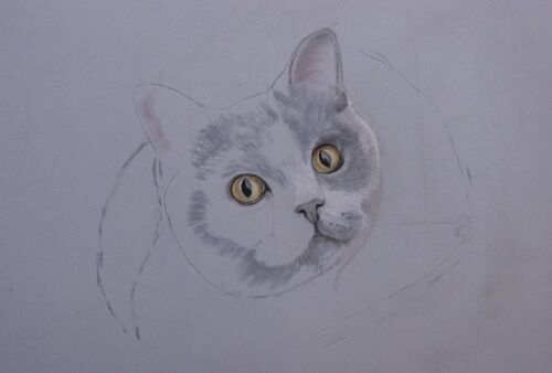 2 WIP: Amber in a bag