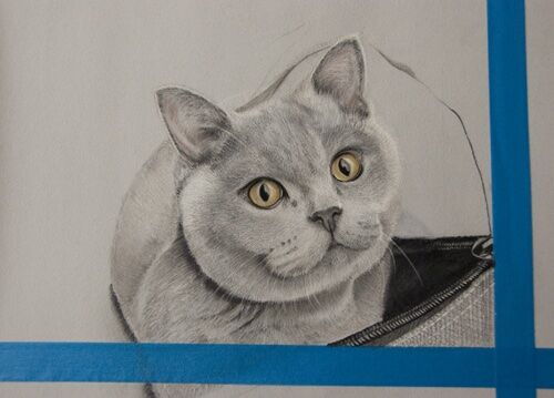 4 WIP: Amber in a bag Cropping