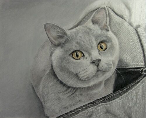 5 WIP: Amber in a bag. Croped the image