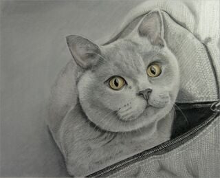 Amber in a bag Step by Step