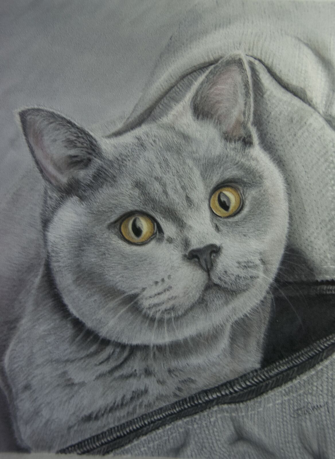 Amber in a bag. Complete Pastel on velour