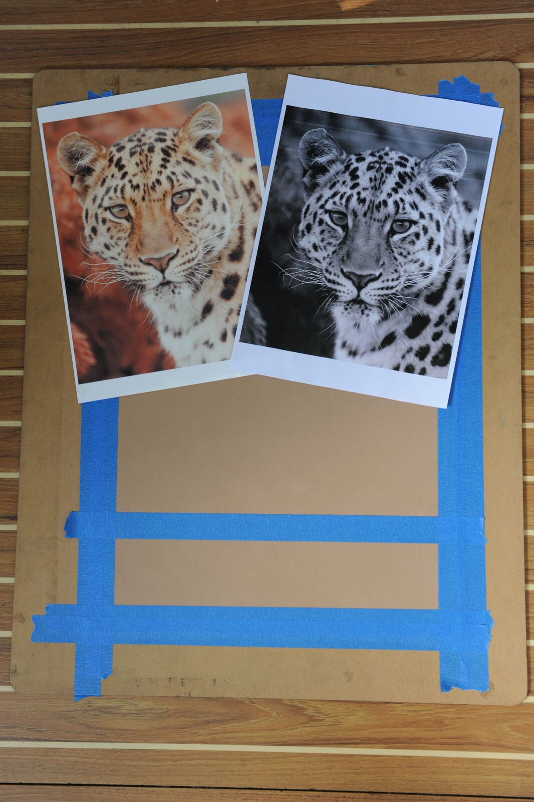 1 Ref shots for Chinese Leopard project