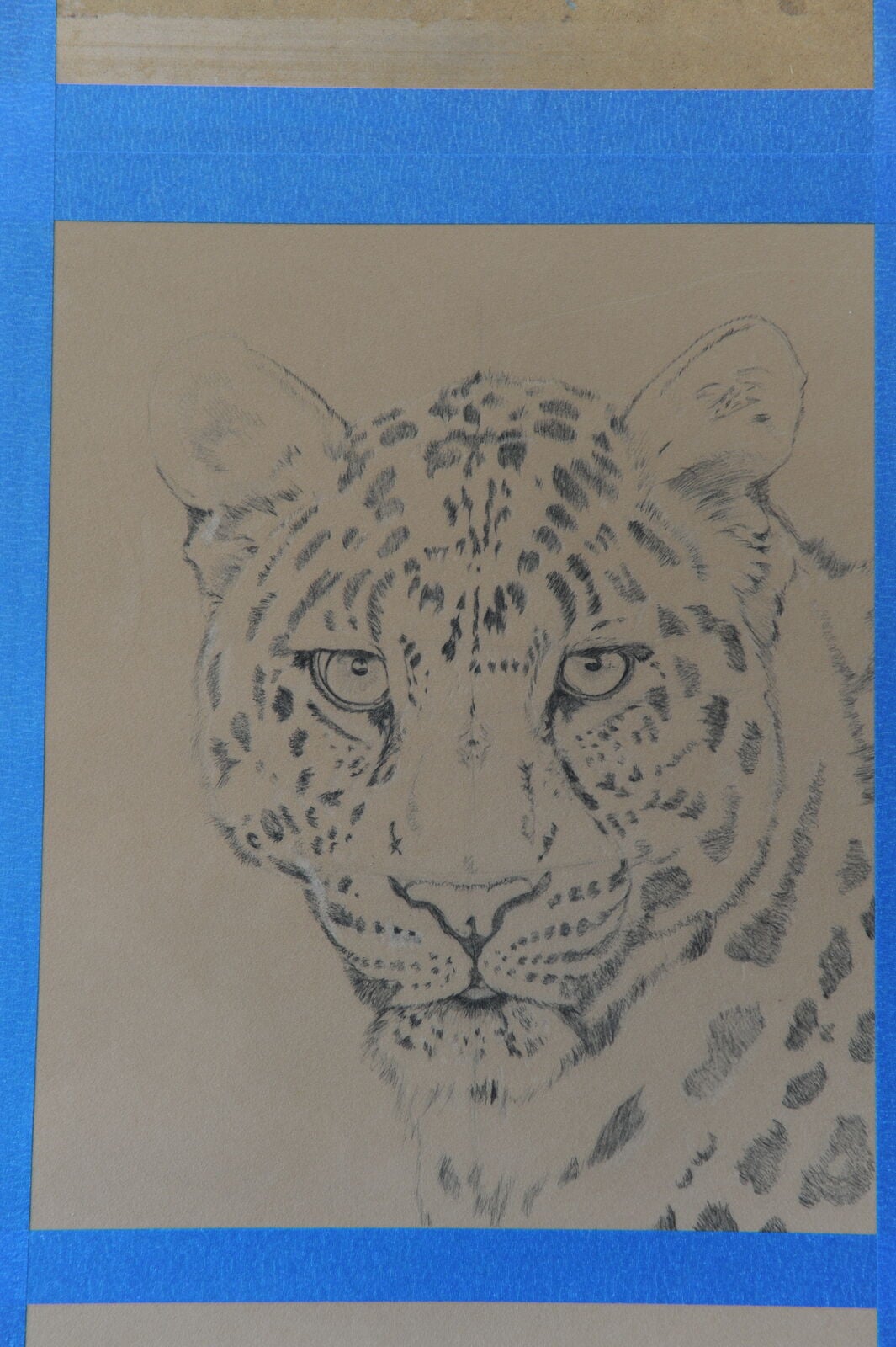 2 WIP: Chinese Leopard. Outline