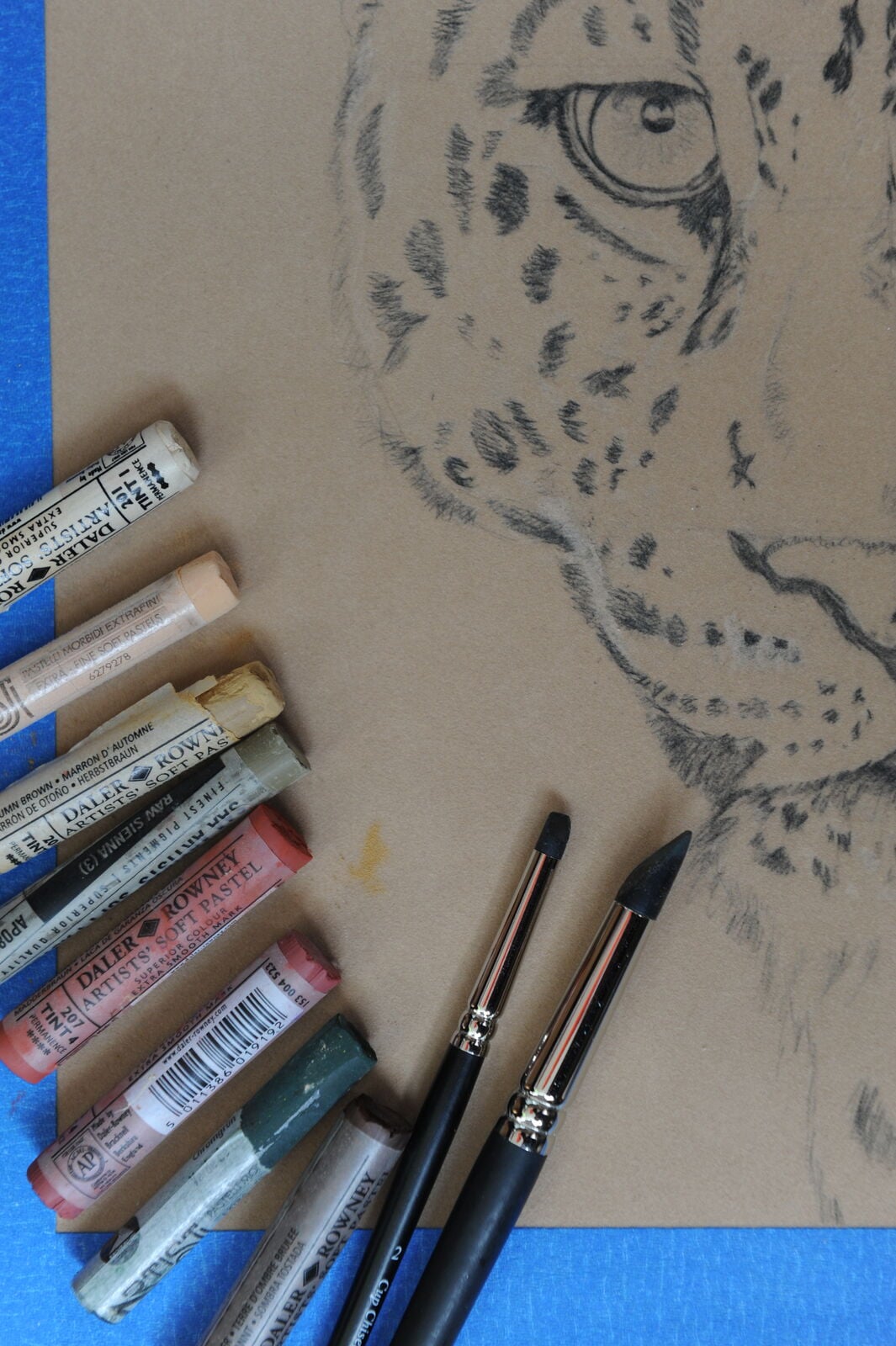 3 WIP: Chinese Leopard. setup