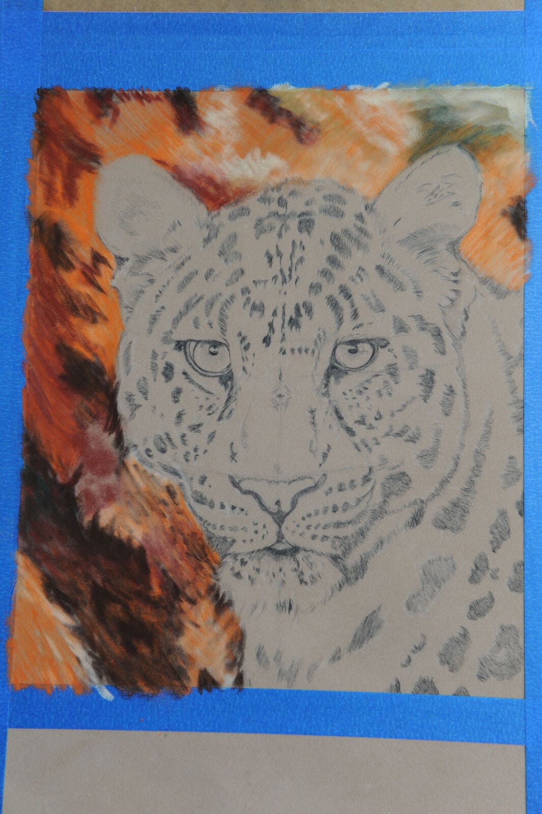 5 WIP Chinese Leopard. Background colours blocked