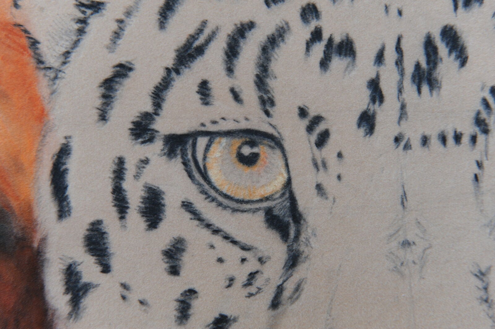 8 WIP Chinese Leopard Colouring the eyes