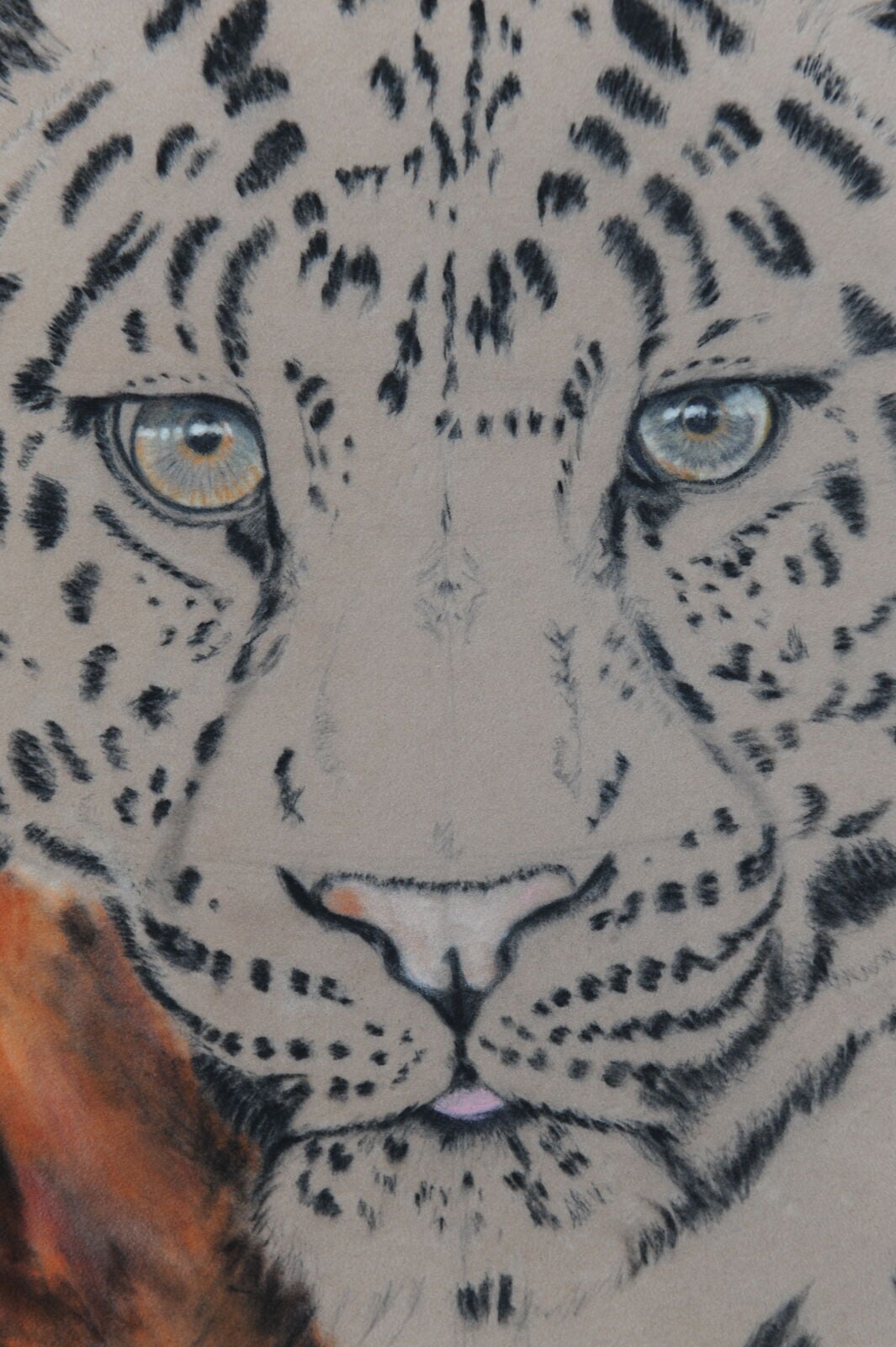 10 WIP: Chinese Leopard. Nose