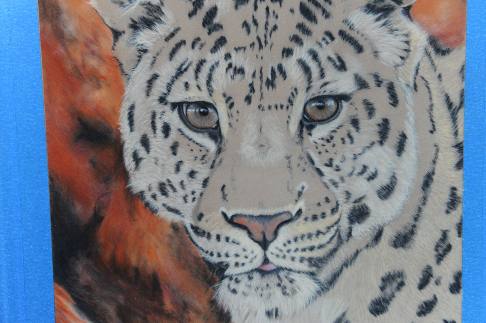 12 WIP Chinese Leopard. Adding light areas