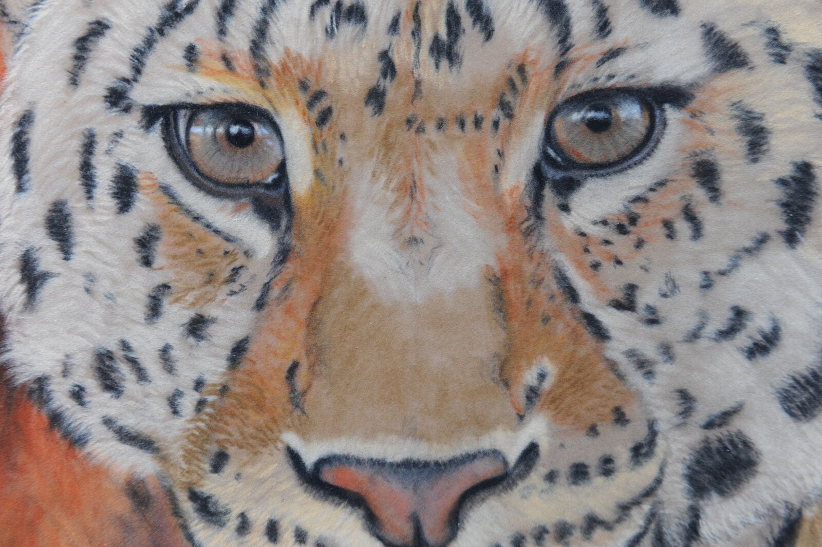 13 WIP Chinese Leopard. Adding more colour