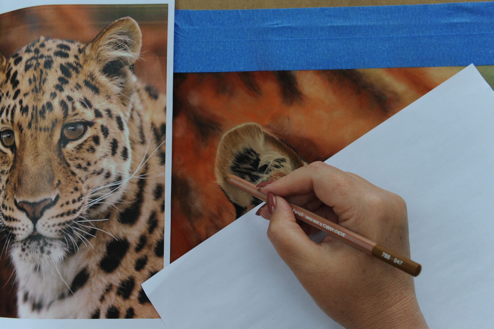 15 WIP: Chinese Leopard. Protecting the work