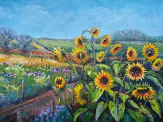 The Flower Farm by Kate Ferrari