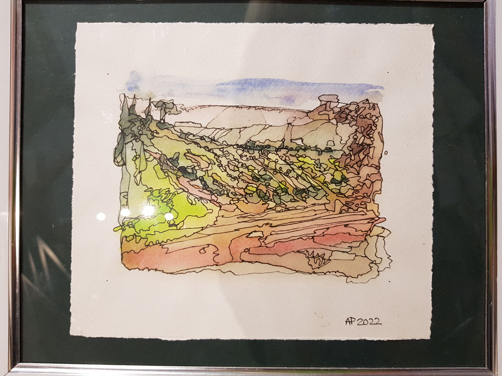 Tuscan vineyard