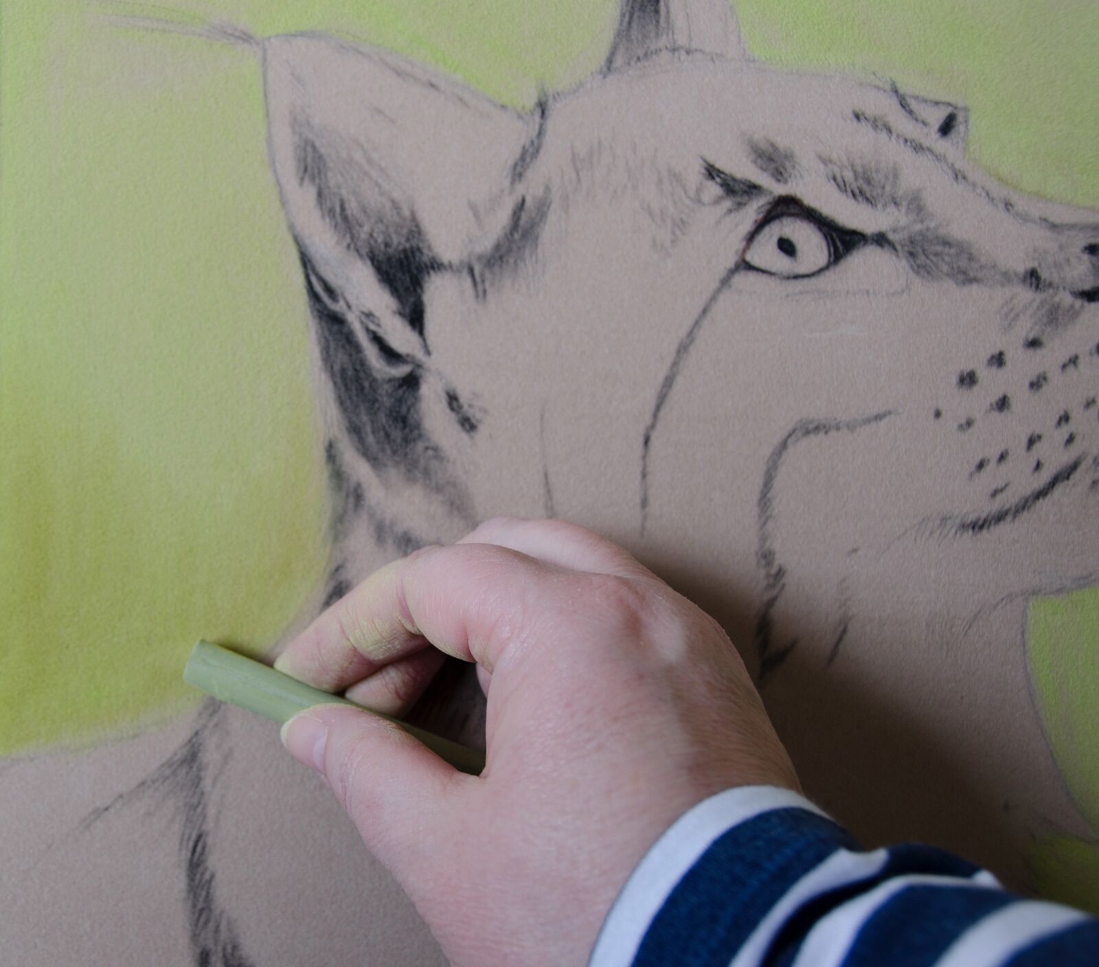 WIP: 4 Lynx & Hawker Background